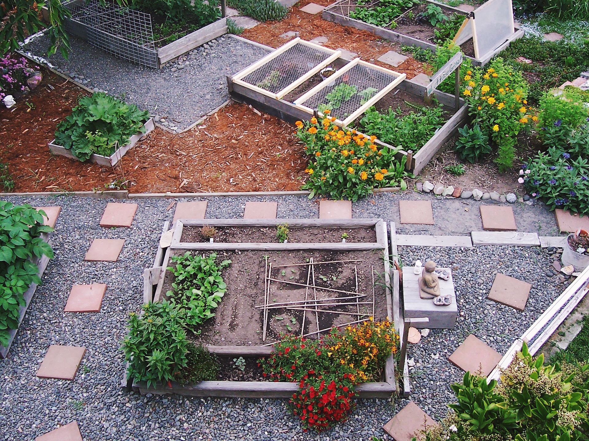urban garden from above